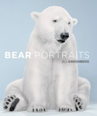 Bear Portraits