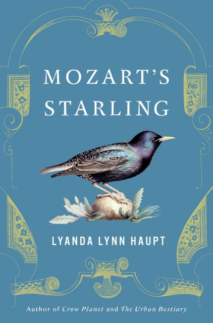 Mozart’s Starling