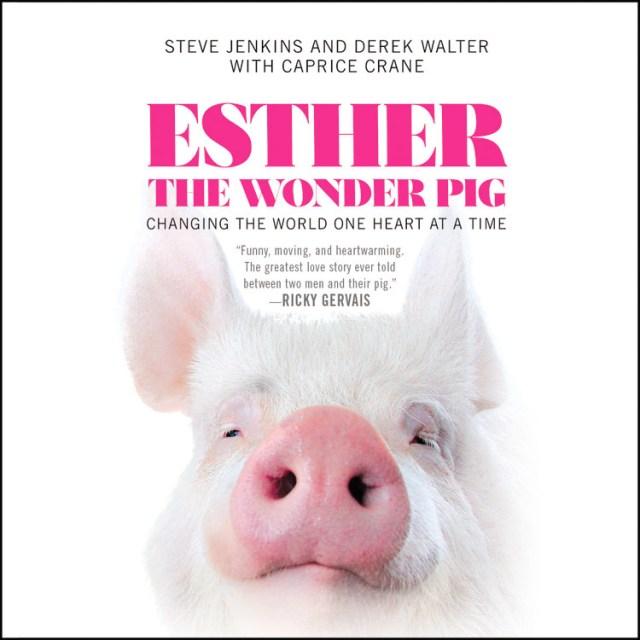 Esther the Wonder Pig