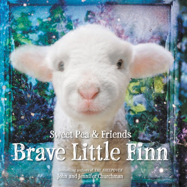 Brave Little Finn