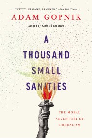 A Thousand Small Sanities