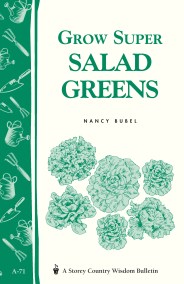 Grow Super Salad Greens