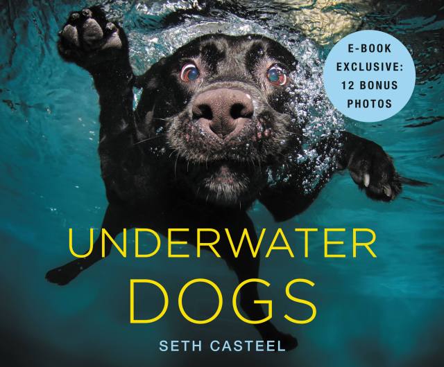 Underwater Dogs