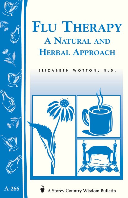 Flu Therapy: A Natural and Herbal Approach