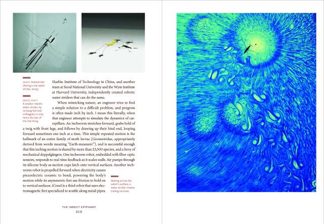 Interior spreads of The Insect Epiphany, these images show modern technology replicating insect biology for robotics projects