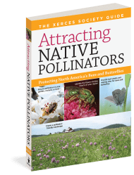 Attracting Native Pollinators