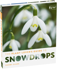 The Plant Lover's Guide to Snowdrops